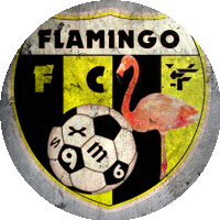 Logo FC Flamingo